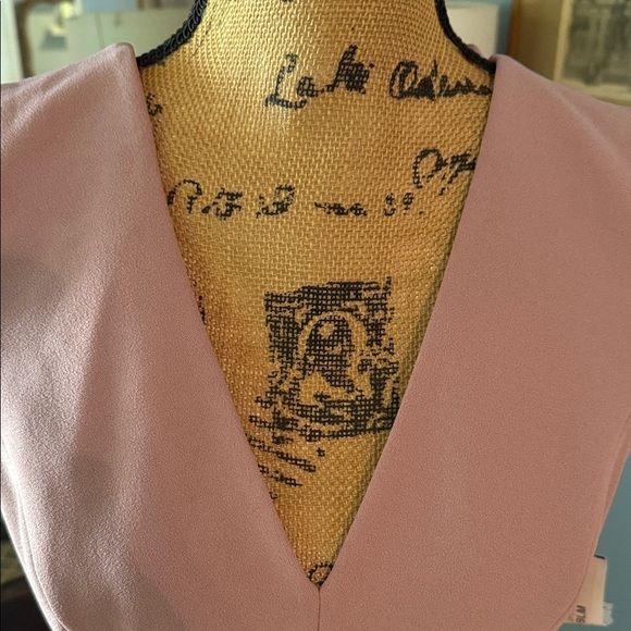 Dress the Population “Dana” Shirred Waist Dress in Light Mauve Size Medium NWT - Picture 4 of 16